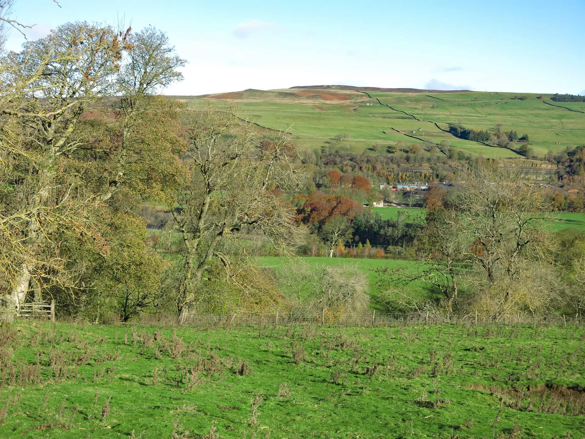 Stanhope
